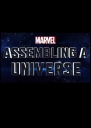 漫威影业：宇宙集结 Marvel Studios: Assembling a Universe 【2014】【纪录片】【美国】