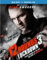 12回合3：致命禁闭 12 Rounds 3: Lockdown 【2015】【动作】【美国】