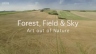 BBC：森林，田野&天空：源自自然的艺术 Forest, Field & Sky: Art out of Nature 【2016】【纪录片】【英国】