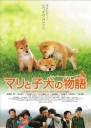 爱犬的奇迹 マリと子犬の物語 【2007】【剧情】【日本】