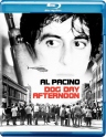 热天午后 Dog Day Afternoon 【1975】【剧情 / 喜剧 / 犯罪】【美国】