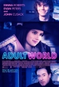 成人世界 Adult World 【2013】【喜剧】【美国】