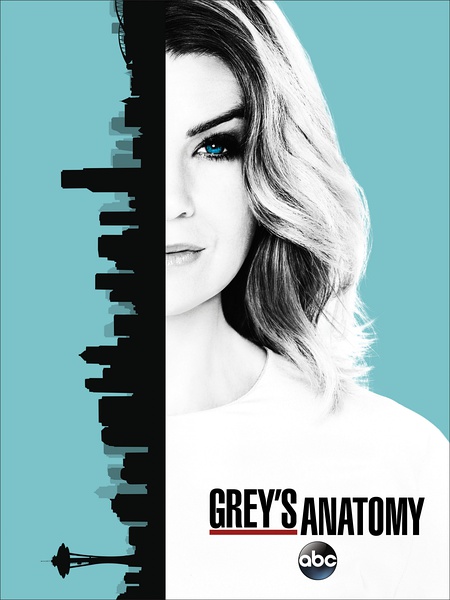 实习医生格蕾 Grey's Anatomy S12~S013 【季终】【美剧】