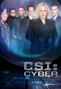 网络犯罪调查 CSI: Cyber S01~S02 【完结】【美剧】