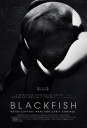 黑鲸 Blackfish 【2013】【纪录片】【美国】