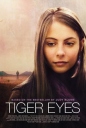 老虎的眼睛 Tiger Eyes 【2012】【剧情】【美国】