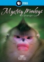 PBS：香格里拉神秘之猴 Mystery Monkeys of Shangri-La 【2015】【纪录片】【中国大陆】