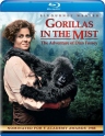 迷雾森林十八年 Gorillas in the Mist: The Story of Dian Fossey 【1988】【剧情 / 传记】【美国】