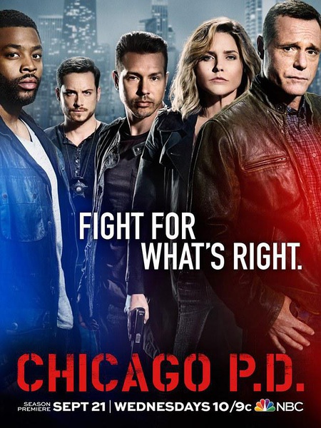 芝加哥警署 Chicago P.D. S01~S05 【季终】【全22集】【中英字幕】【美剧】