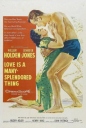 生死恋 Love Is a Many-Splendored Thing 【1955】【剧情 / 爱情 / 传记 / 战争】【美国】