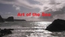 海的艺术 Art of the Sea【2010】【纪录片】【英国】