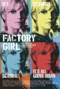 工厂女孩 Factory Girl 【2006】【剧情 / 传记】【美国】