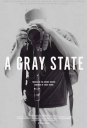灰色国度 A Gray State 【WEBRip1080p内嵌中文字幕】【纪录片】【2017】【美国】