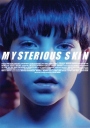 神秘肌肤 Mysterious Skin 【2004】【 剧情 / 同性】【美国 / 荷兰】