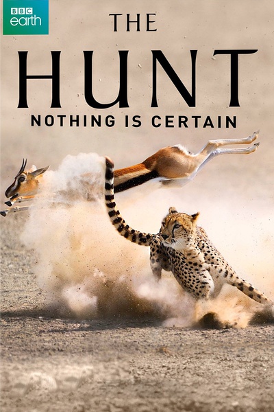 BBC：猎捕 The Hunt 【2015】【纪录片】【英国】