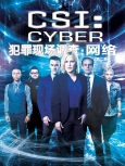 犯罪现场调查：网络 第2季【初校-特效版-字幕合集】