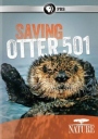 PBS：拯救小海獭 Saving Otter 501 【2013】【纪录片】【美国】