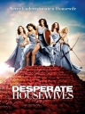 绝望主妇 Desperate Housewives S05~S08 【完结】【美剧】