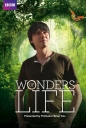 BBC：生命的奇迹 Wonders of Life 【2013】【纪录片】【英国】