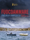 海上火焰 Fuocoammare 【2016】【纪录片】【意大利 / 法国】