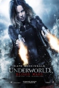 黑夜传说5：血战 Underworld: Blood Wars 【2016】【动作 / 惊悚 / 奇幻】【美国】