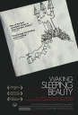 唤醒睡美人 Waking Sleeping Beauty 【2010】【纪录片】【美国】