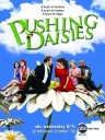 灵指神探 Pushing Daisies S01~S02 【完结】【美剧】