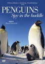 BBC：企鹅群里有特务 Penguins: Spy in the Huddle 【2012】【纪录片】【英国】