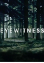 目击证人 Eyewitness 【完结】【美剧】