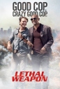 致命武器 Lethal Weapon S1~S02【完结】【全22集】【美剧】