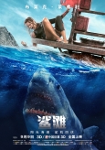 The.Shallows.2016.1080p.BluRay.x264-GECKOS《鲨滩》
