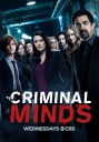 犯罪心理 第十三季 Criminal Minds Season 13 【季终】【全22集】【美剧】