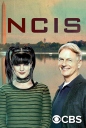 海军罪案调查处 第十五季 NCIS: Naval Criminal Investigative Service Season 15 【更新至S15E19】【美剧】