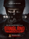 黑帮卧底 Gangland Undercover 【完结】【美剧】