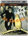 卡里加里博士的小屋 Das Cabinet des Dr. Caligari 【1920】【悬疑 / 恐怖 / 犯罪】【德国】