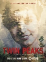 双峰第三季（重启版） Twin Peaks 【季终】【美剧】