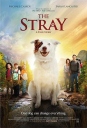 流浪狗 The Stray 【蓝光720p/1080p中英字幕】【2017】【剧情/冒险】【美国】