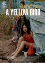 一只黄鸟 A Yellow Bird 【HDRip720p/1080p外挂中文字幕】【2016】【剧情】【新加坡】