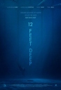 深水区 12 Feet Deep 【WEB-DL720p/1080p中英字幕】【2017】【惊悚】【美国】