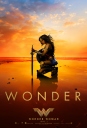 神奇女侠 Wonder Woman 【更新蓝光720p/1080p国英双语中英字幕】【2017】【动作 / 奇幻 / 冒险】【美国】