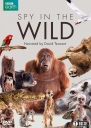 BBC：荒野间谍 Spy in the Wild 【HDTV720p/1080p中英字幕】【2017】【纪录片】【英国】