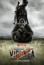 维龙加 Virunga 【2014】【纪录片 / 战争】【英国 / 刚果】