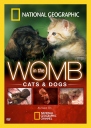 子宫日记：猫与犬 In the Womb: Cats and Dogs 【2009】【纪录片】【美国】