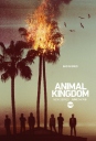 野兽家族 Animal Kingdom S01~S02 【季终】【美剧】