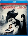 美国狼人在伦敦 An American Werewolf in London 【1981】【爱情 / 恐怖】【 美国 / 英国】