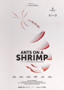 虾上蚂蚁 Ants on a Shrimp 【2016】【纪录片】【荷兰】