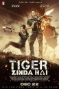 老虎是活的 Tiger Zinda Hai 【蓝光720p中文字幕】【2017】【动作/惊悚/冒险】【印度】