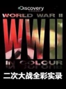 二次大战全彩实录 World War II in Colour【2009】【纪录片】【英国】