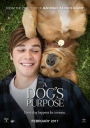 一条狗的使命 A Dog's Purpose 【2017】【剧情 / 喜剧 / 家庭】【美国】