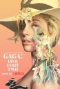 嘎嘎：五尺二寸 GAGA: Five Foot Two 【WEBRip720p/1080pNetflix官方中字】【2017】【纪录片 / 音乐 / 传记】【美国】